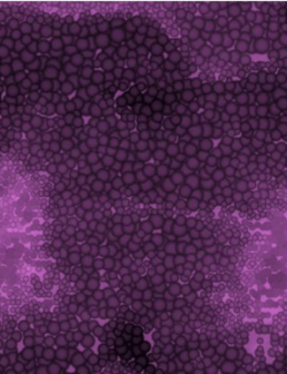 Journées d’étude Transition versus Bifurcation – Université de Montpellier, mars 2026.